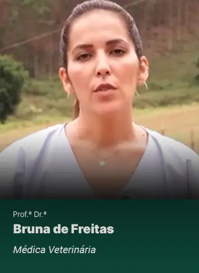 Bruna-de-Freitas