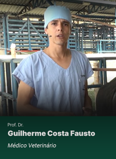 Guilherme Costa Fausto