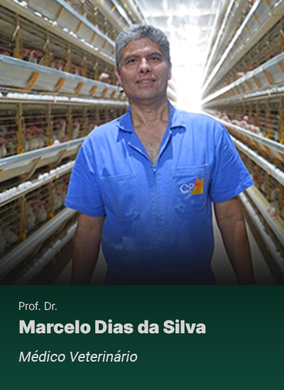Marcelo Dias da Silva