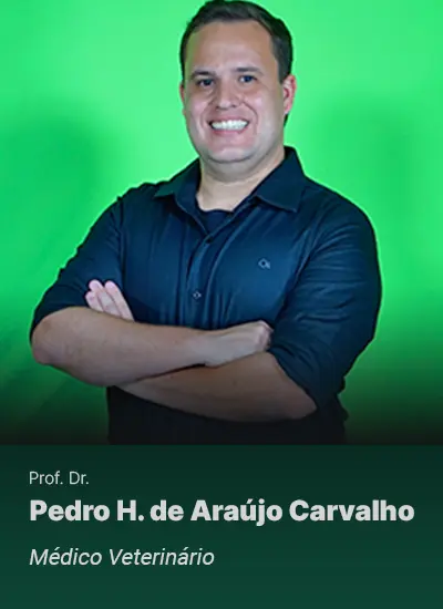 Pedro-H.-A.-Carvalho