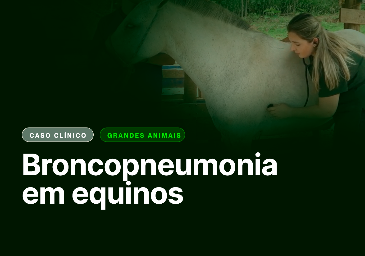 Broncopneumonia em equinos