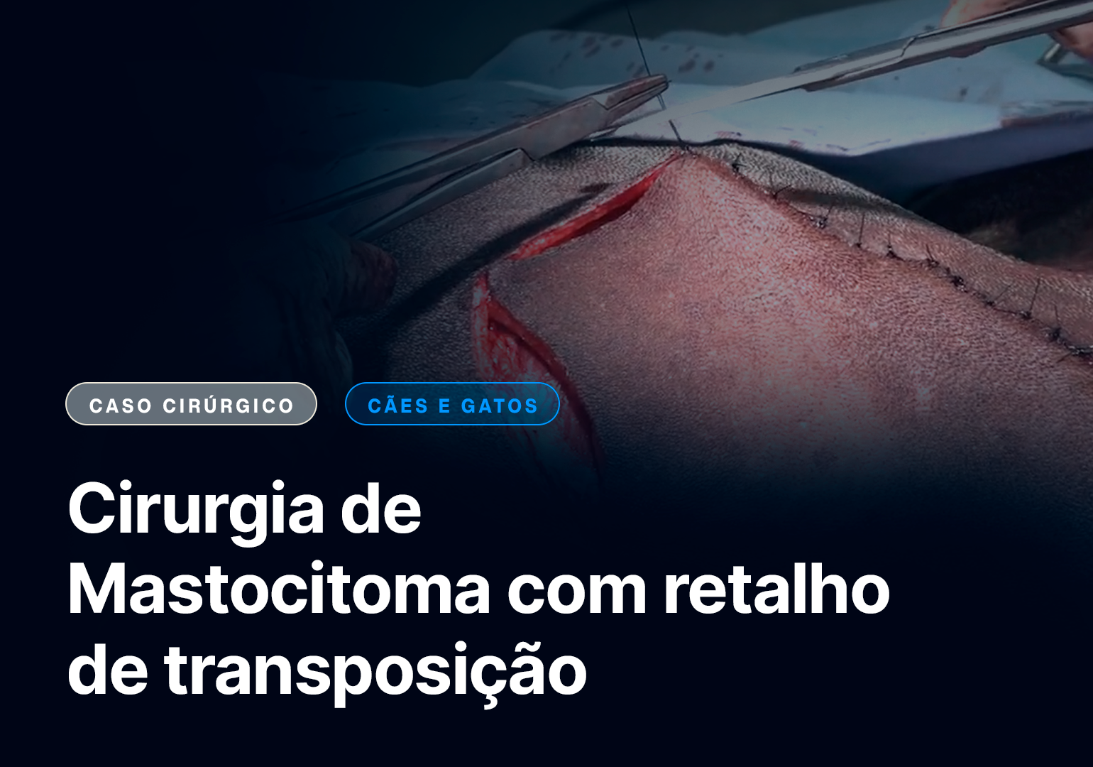 Cirurgia de Mastocitoma com retalho de transposição