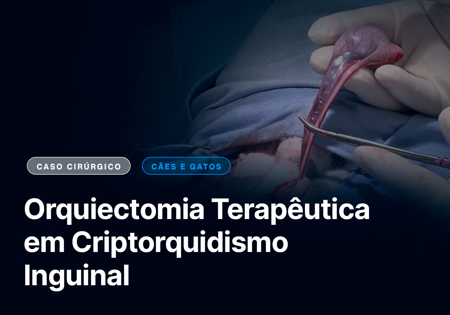 Orquiectomia terapêutica em Criptorquidismo Inguinal