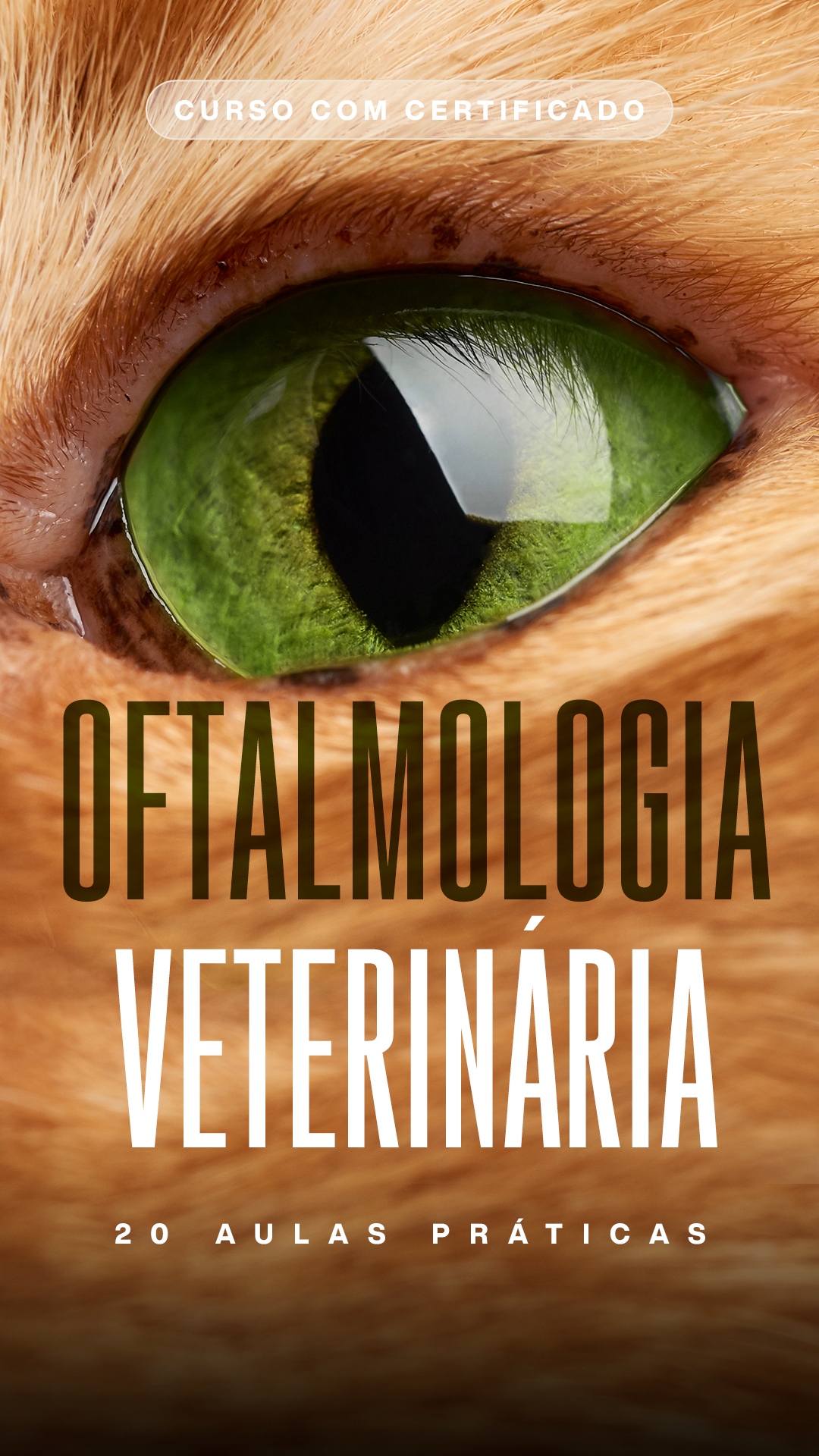 PATOLOGIA CLINICA copiar