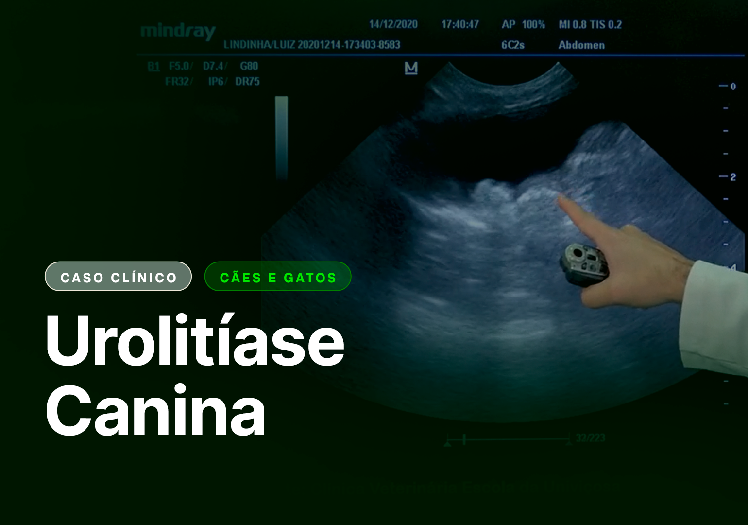 urolitiase canina